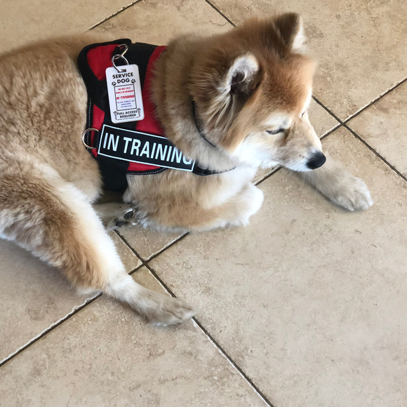 Meet your Posher, Jeff - Picture 6 of 8